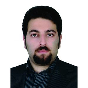 Picture of Dr. M Erfan Zand